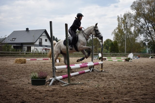 bABIE lATO 2018